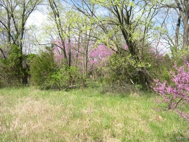 Rear wall to pastures.