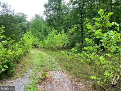 0 Shockeysville Rd unit VAFV2014768, Winchester, VA 22603 - photo 7