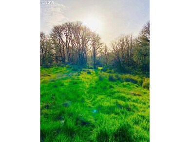 7055 Ridgeway Rd, Sheridan, OR 97378 - photo 4