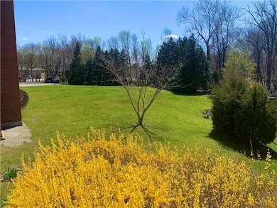 Quiet, peaceful, pretty fields of great grass surr