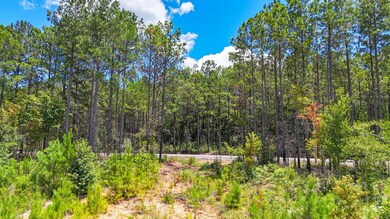 Cr 334, Salem, AL 36874 - photo 7