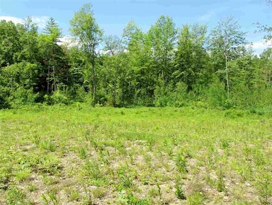 0 Stewart Foss Mountain Rd unit 13,21.22 4761929, Eaton, NH 03832 - photo 5