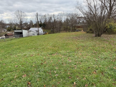 90 Botts St, Owenton, KY 40359 - photo 3