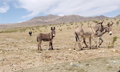 LOCALS