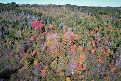 Aerial View of Back Acreage
