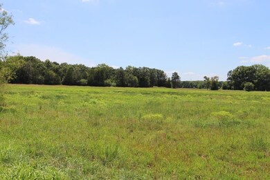 4025 Dave Ward Dr, Conway, AR 72034 - photo 2