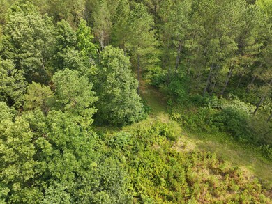 0 Mississippi 46 unit 25-1215, Mantee, MS 39751 - photo 6