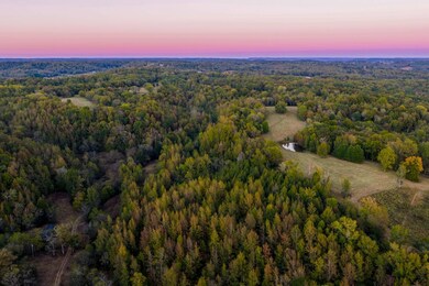 3345 Pigeon Roost Rd, Pulaski, TN 38478 - photo 5