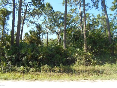 0 Palm Ave, Cocoa, FL 32922 - photo 3