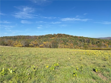 0 County Highway 28, Otsego, NY 13326 - photo 6