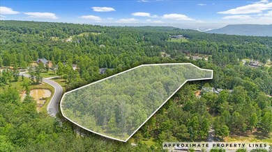 2795 Raulston Falls Rd, Jasper, TN 37347 - photo 4