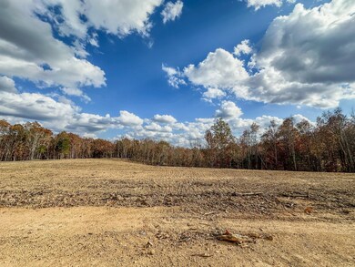 0 Firetower Rd unit RTC3051309, Centerville, TN 37033 - photo 4