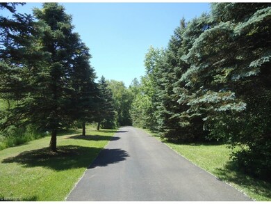 Long Paved Driveway Lined with Beautiful, Mature B