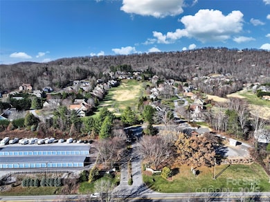 9999 Walnut Dr unit 166, Mills River, NC 28759 - photo 4