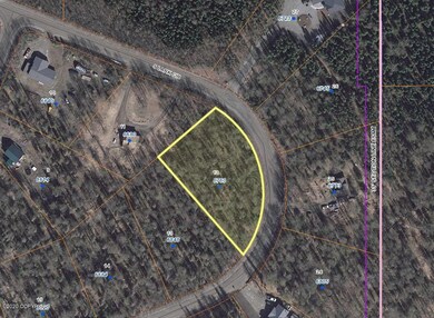 Satellite View