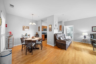 618 Pineridge Dr N unit 618, Oswego, IL 60543 - photo 6