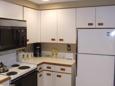 48 Cooper Memorial Dr unit 205, Lincoln, NH 03251 - photo 4