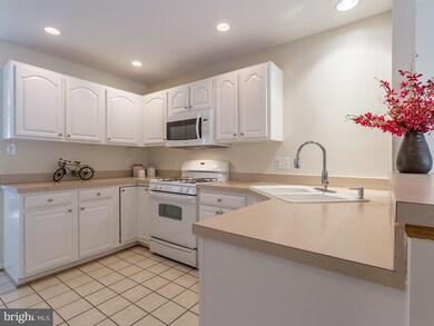 1255 Wedgewood Manor Way, Reston, VA 20194 - photo 5