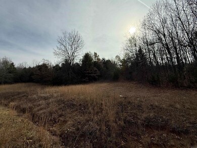 Tract 51 Rainbow Lake Rd, Austin, AR 72007 - photo 2