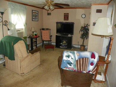 407 Pepper St, Muncy, PA 17756 - photo 5