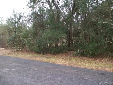 1870 E Bismark St, Hernando, FL 34442 - photo 3