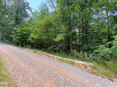 0 Rivendell Ln unit 307703, Coker Creek, TN 37385 - photo 7