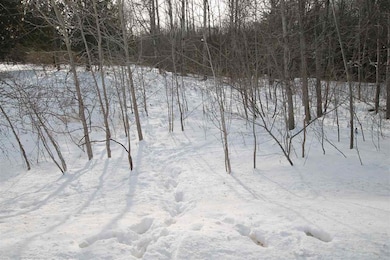 0 Ellsworth Rd unit 478422, Ellsworth, MI 49729 - photo 5