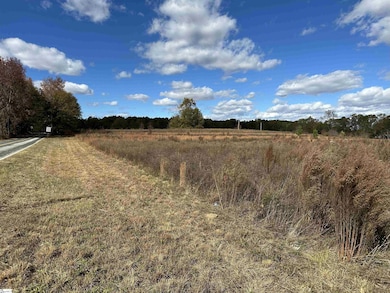 0 E Georgia Rd unit Bethany Road, and Wh, Simpsonville, SC 29681 - photo 2
