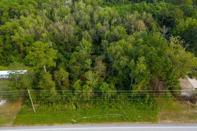 Lot Hwy. 17 #100191618-1