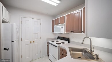 2023 Rudy Serra Dr unit 3B, Sykesville, MD 21784 - photo 4