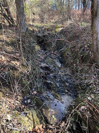 0 Forest Grove Rd unit 600676, Lexington, VA 24450 - photo 4