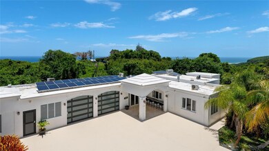 Bo. Coto Pr 113 Km Hm 4 2, Isabela, PR 00662 - photo 4