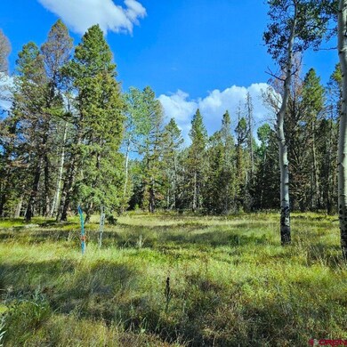 282 Aspen Trail, Cimarron, CO 81220 - photo 4