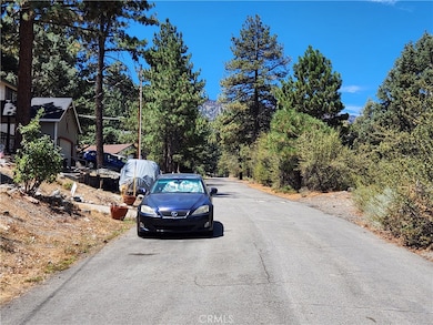 2164 State Highway 2, Wrightwood, CA 92397 - photo 3
