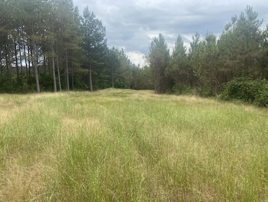 Big Opposum Creek Rd, Waynesboro, TN 38485 - photo 6