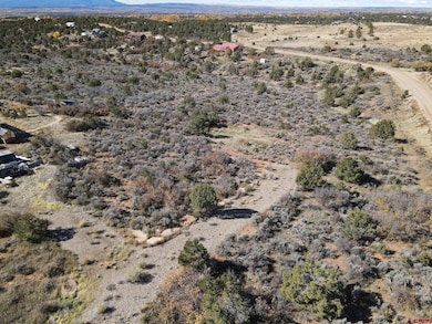 17467 Road 27 7, Dolores, CO 81323 - photo 6