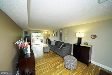 4424 Cub Run Rd, Chantilly, VA 20151 - photo 7