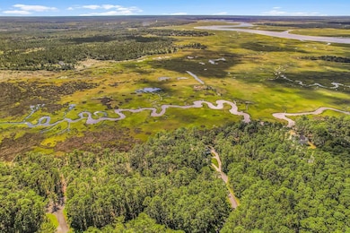 135 Blackbeard Ct, Townsend, GA 31331 - photo 7