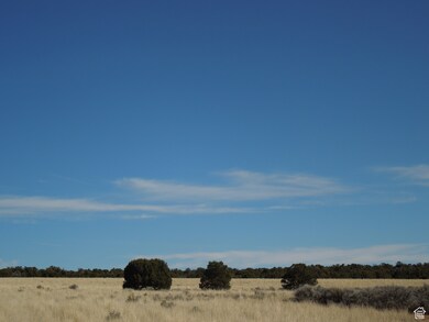 20 W Sunrise Country Rd unit 20, Monticello, UT 84535 - photo 3