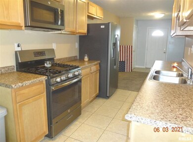 713 N Sherman St, Lincoln, IL 62656 - photo 6