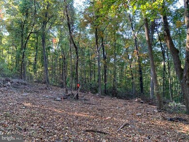 0 Fiery Run Rd unit VAFQ2005770, Linden, VA 22642 - photo 4