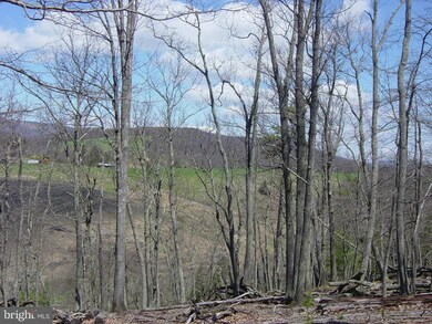 6 Mountain Run Rd, Moorefield, WV 26836 - photo 3