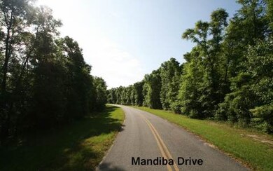 LOT 8 Mandiba Dr, Lake City, FL 32024 - photo 3