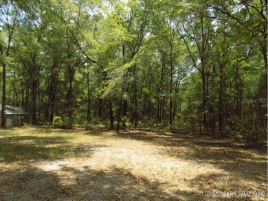 4318 284th Terrace, Branford, FL 32008 - photo 3