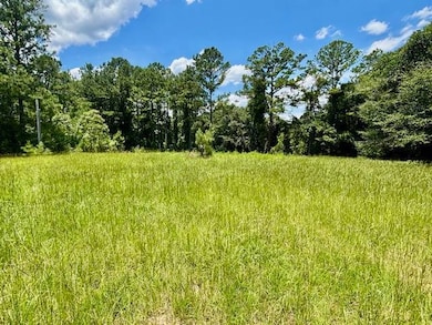 26489 Point A Isle Rd, Andalusia, AL 36421 - photo 2