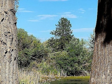 133 Woodhouse Loop, Ellensburg, WA 98926 - photo 4