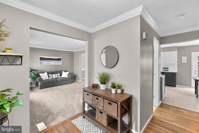 7805 Flagstone Ct, Ellicott City, MD 21043 - photo 6