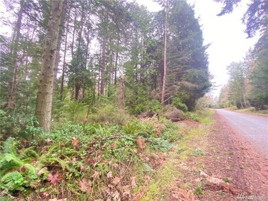 0 Claire Ln unit 1743022, Point Roberts, WA 98281 - photo 2