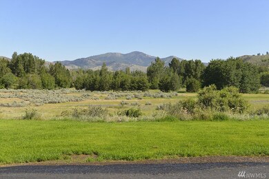 814 Twisp Carlton Rd, Twisp, WA 98856 - photo 5