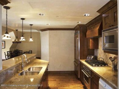 415 E Dean Unit 52 Wks 51&52, Aspen, CO 81611 - photo 3